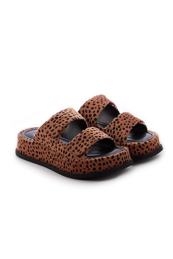 Sandalia Flat Shannon Onça FEMININO - CALÇADOS - SANDALIA 8 Dm Stores 33